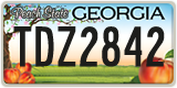 Georgia, ABC 1234