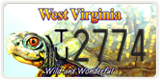 West Virginia, Specialty plates (X/X 12345)