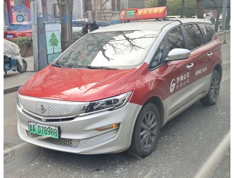 鲁A·D78988, Maple 80V