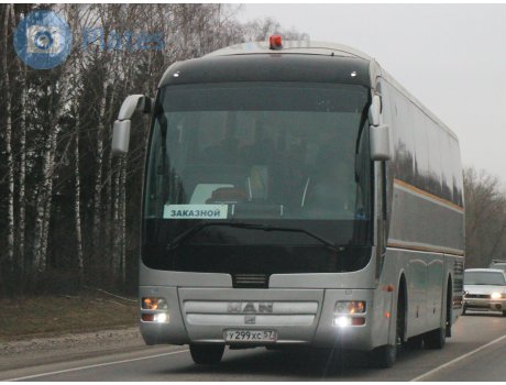 у299хс57, MAN Fortuna