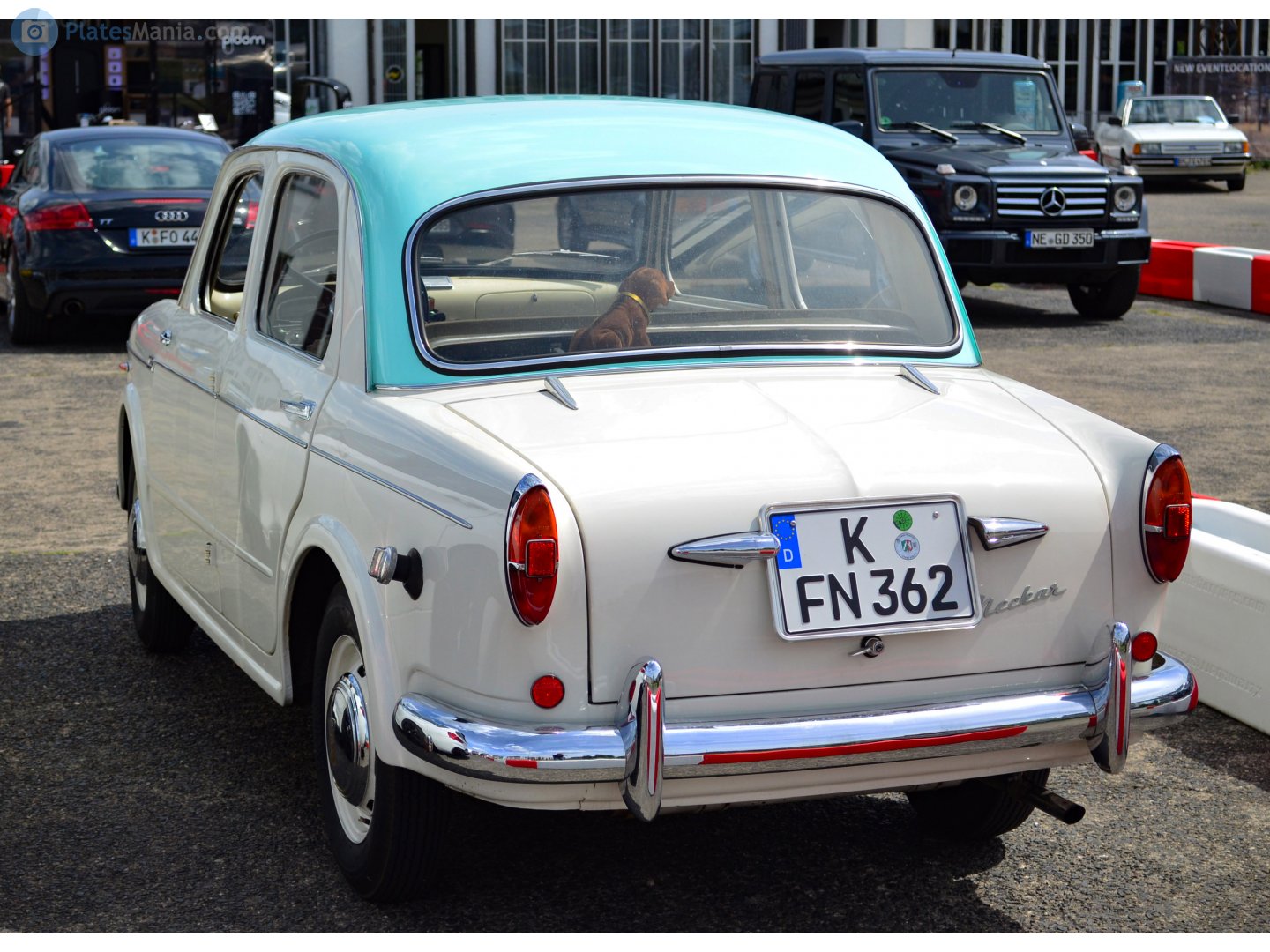 K FN 362, Neckar (NSU-Fiat) Europa (Fiat 1100-103) 