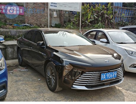 川A·9D6V9, Buick LaCrosse