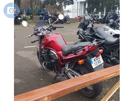 4100 TZ 85, Suzuki GSF Series (Bandit)