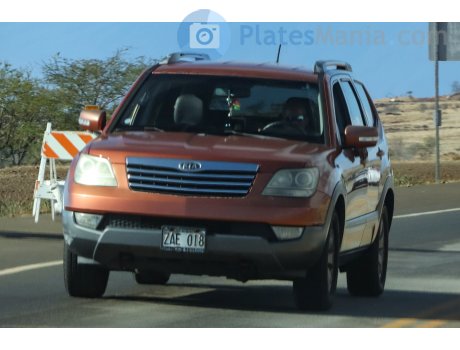 ZAE 018, Kia Borrego