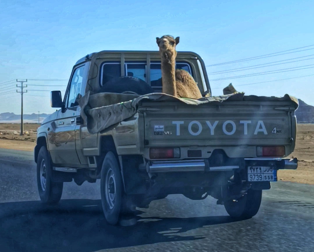 9739 SSB, Toyota Land Cruiser 70 Pickup (J79), 1st facelift, 2007–2023