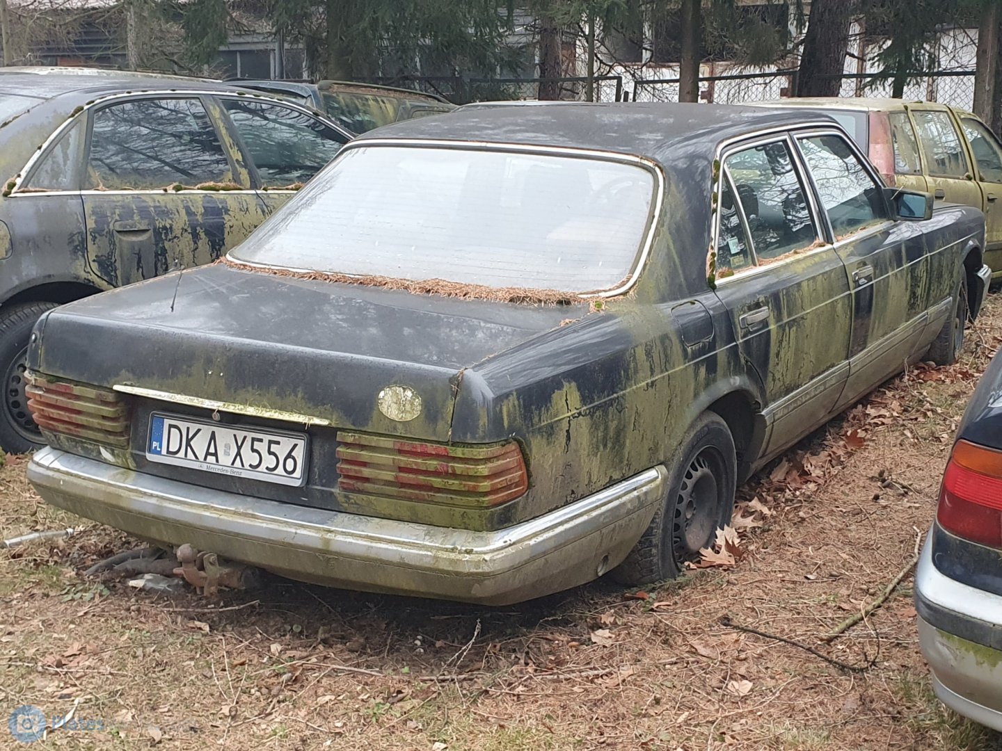 DKA X556, Mercedes-Benz S-Klasse 4th gen Sedan (W126/V126), 1979–1991