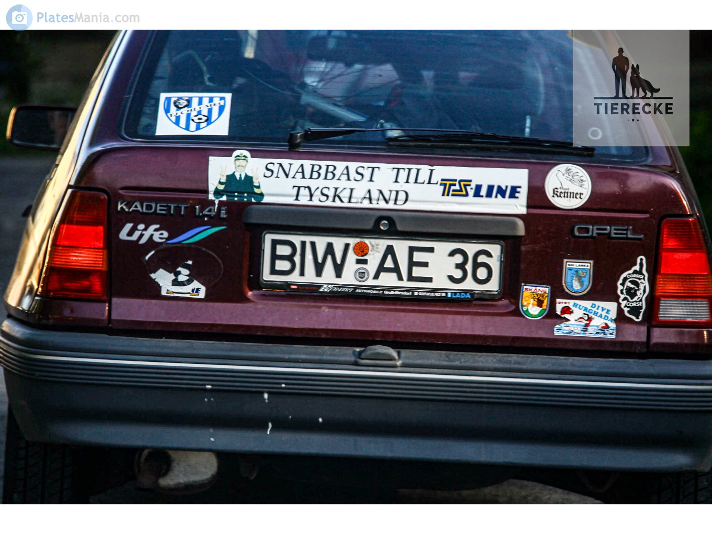 BIW AE 36, Opel Kadett 5th gen 5-door Hatch (E; T85), 1984–1991