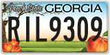 Georgia, ABC 1234
