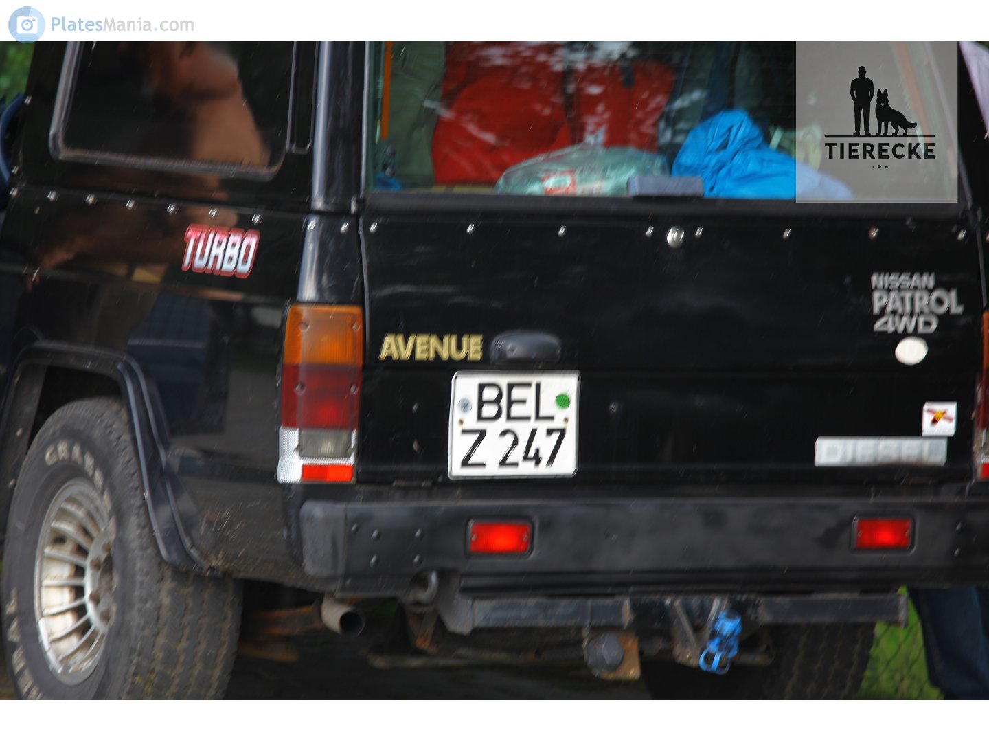 BEL Z 247, Nissan Patrol 3rd gen 3-door SUV (160/260), 1980–2002