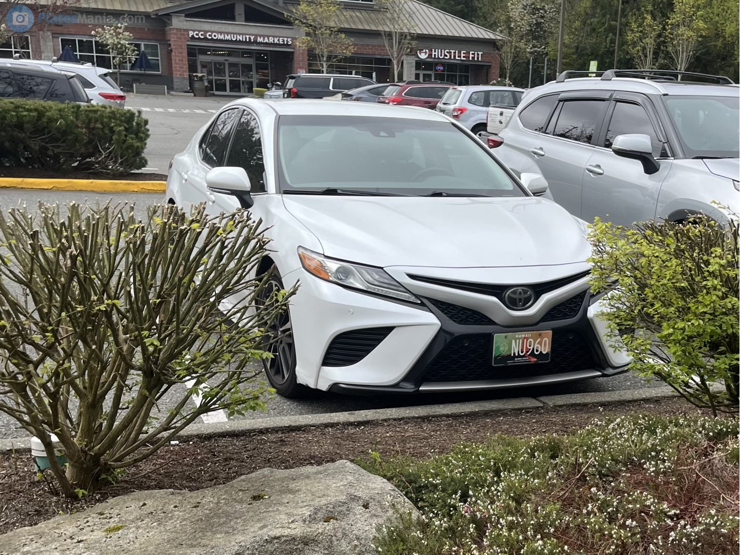 NU960, Toyota Camry 8th gen (XV70), 2017–