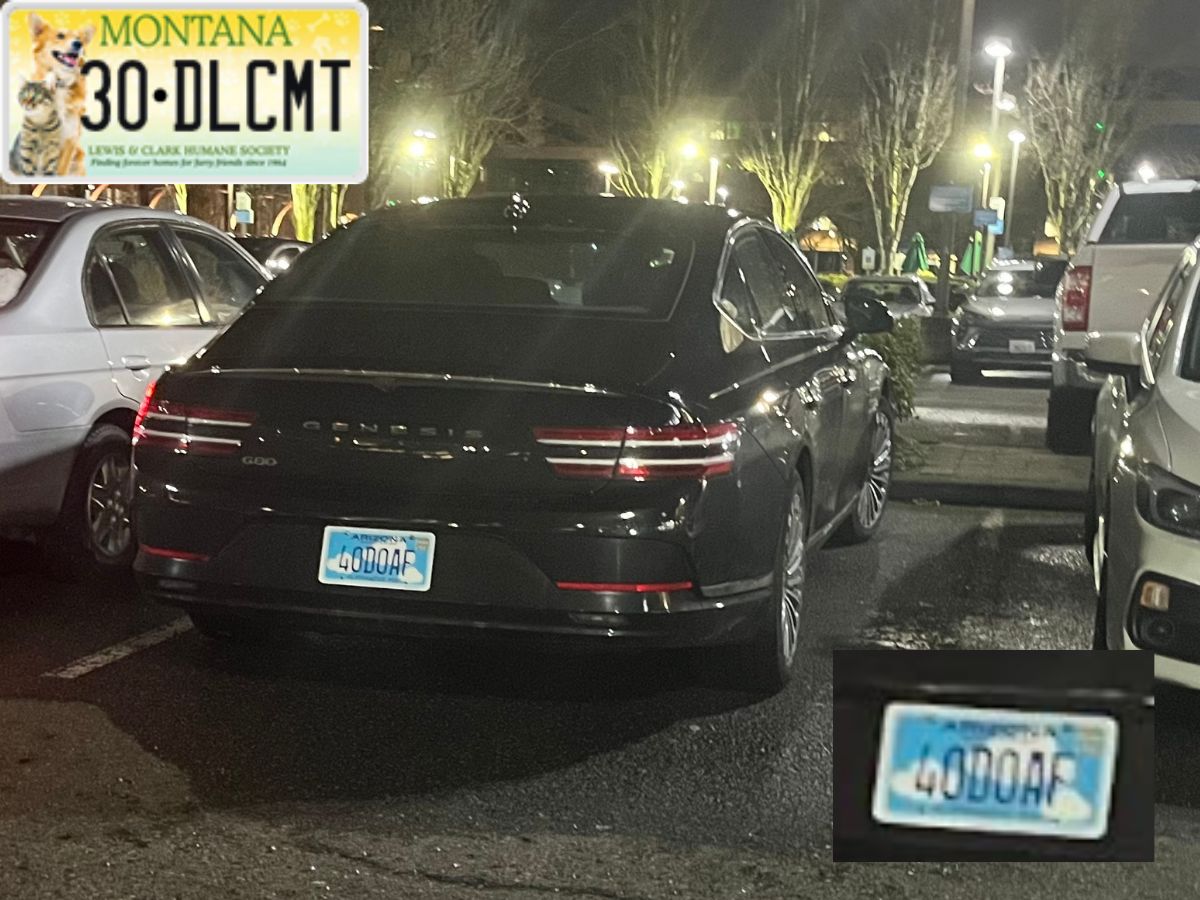 40D0AF, Genesis G80 2nd gen (RG3), 2020–