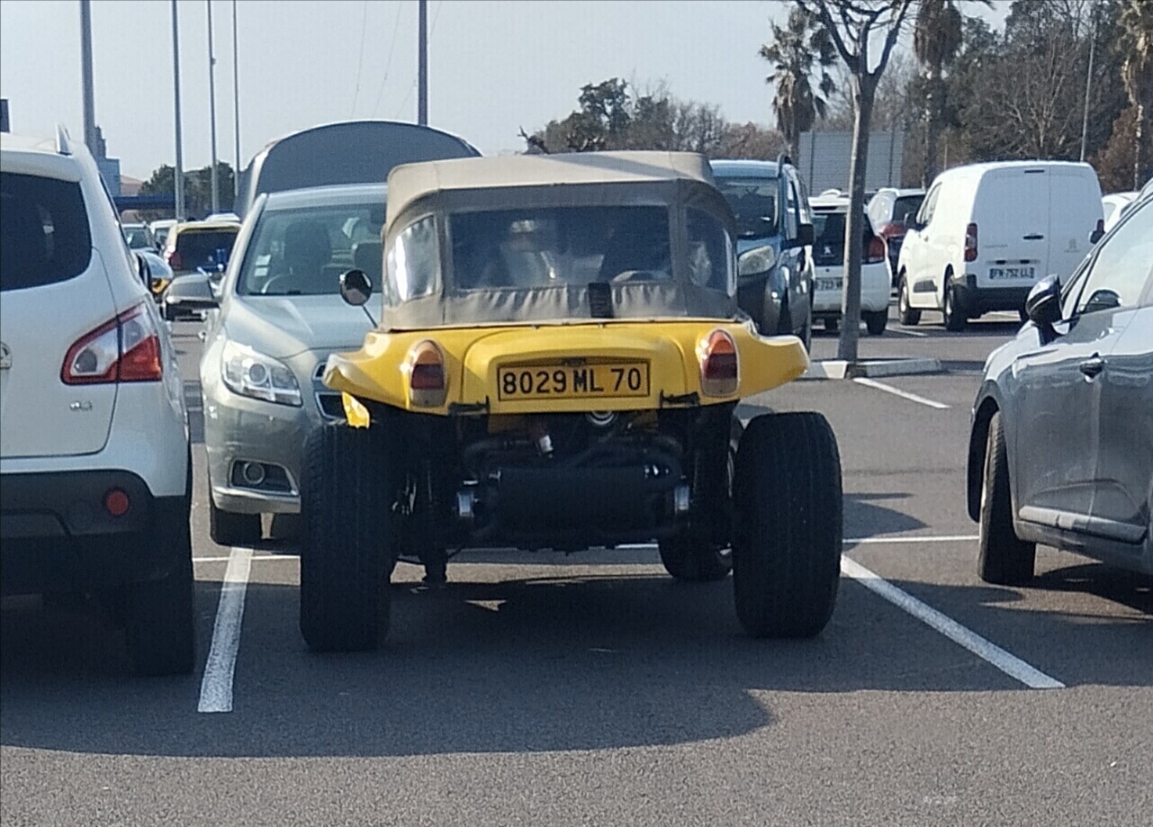 8029 ML 70, LM Sovra LM1 