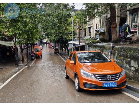 川A·V163C, Baojun 310