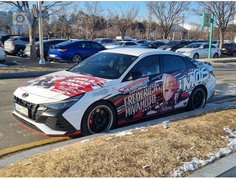 224누 1794, Hyundai Avante