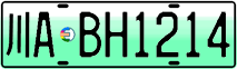 License plate of China, Electric vehicles