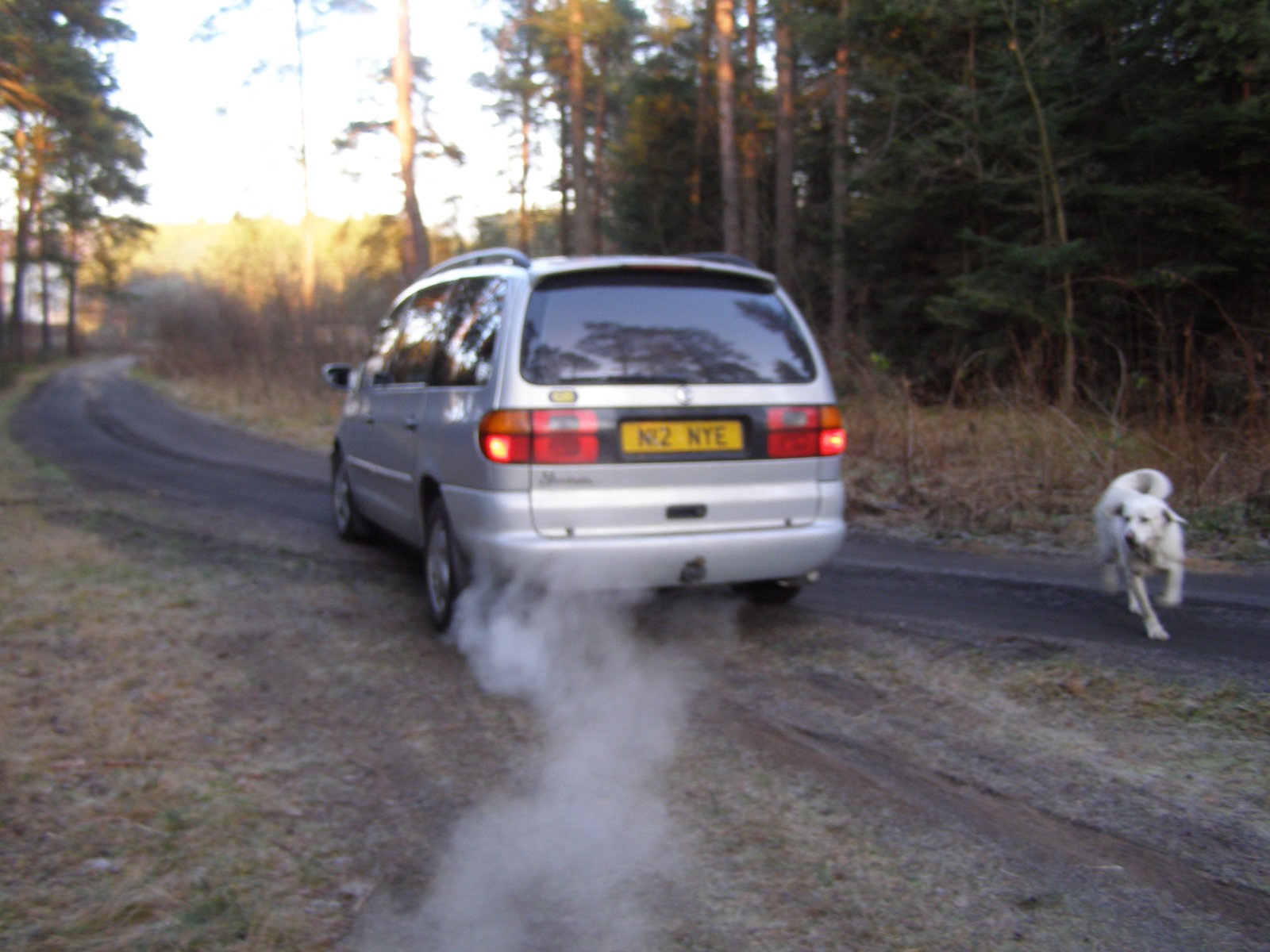 N12NYE, Volkswagen Sharan 1st gen (7M), 1995–2000