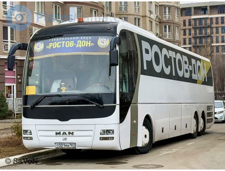 т001мн161, MAN Lion