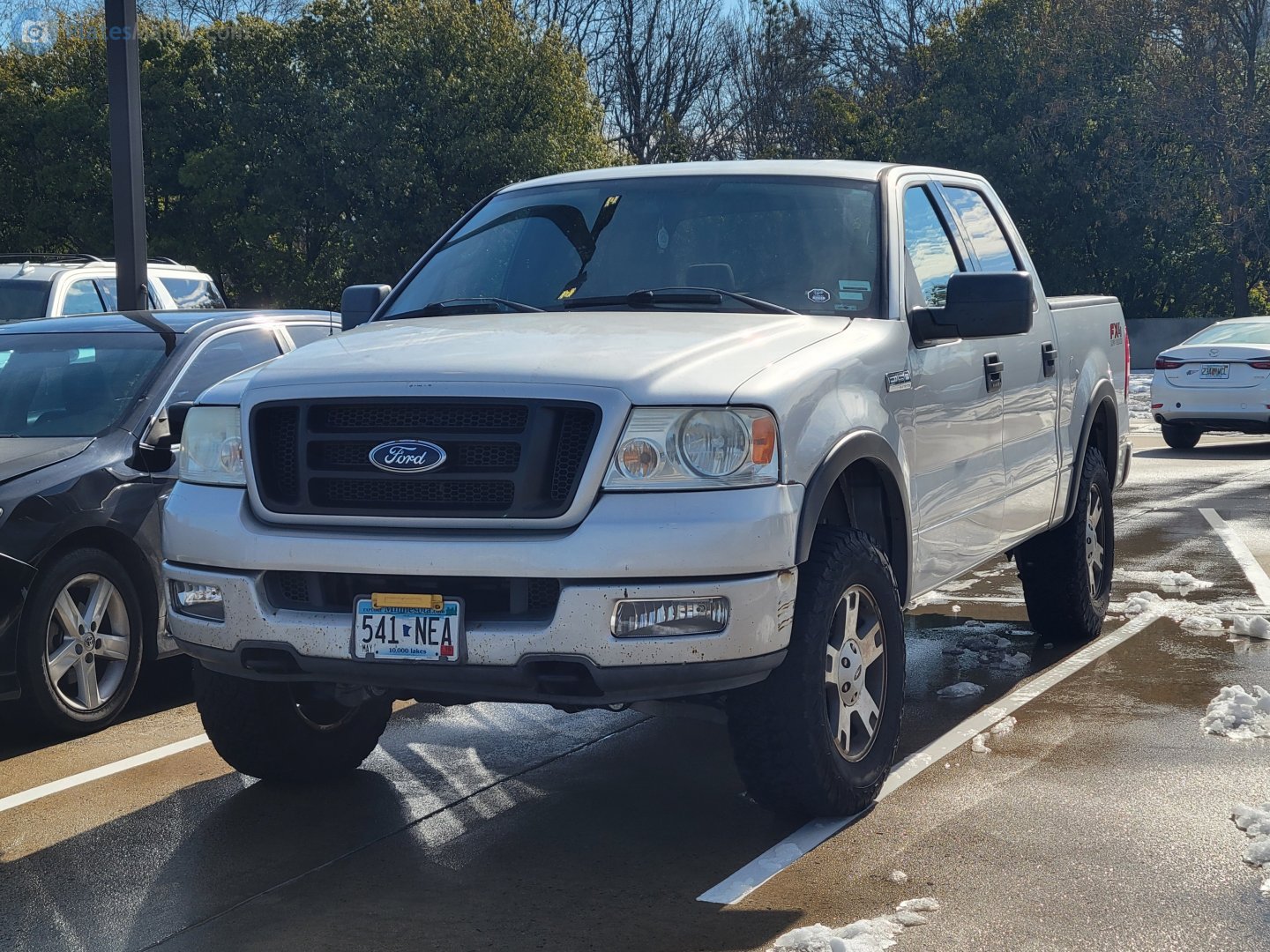 541-NEA, Ford F-150 11th gen (P221), 2003–2008