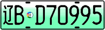 License plate of China, Electric vehicles