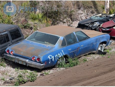 C03 EVP, Chevrolet Chevelle