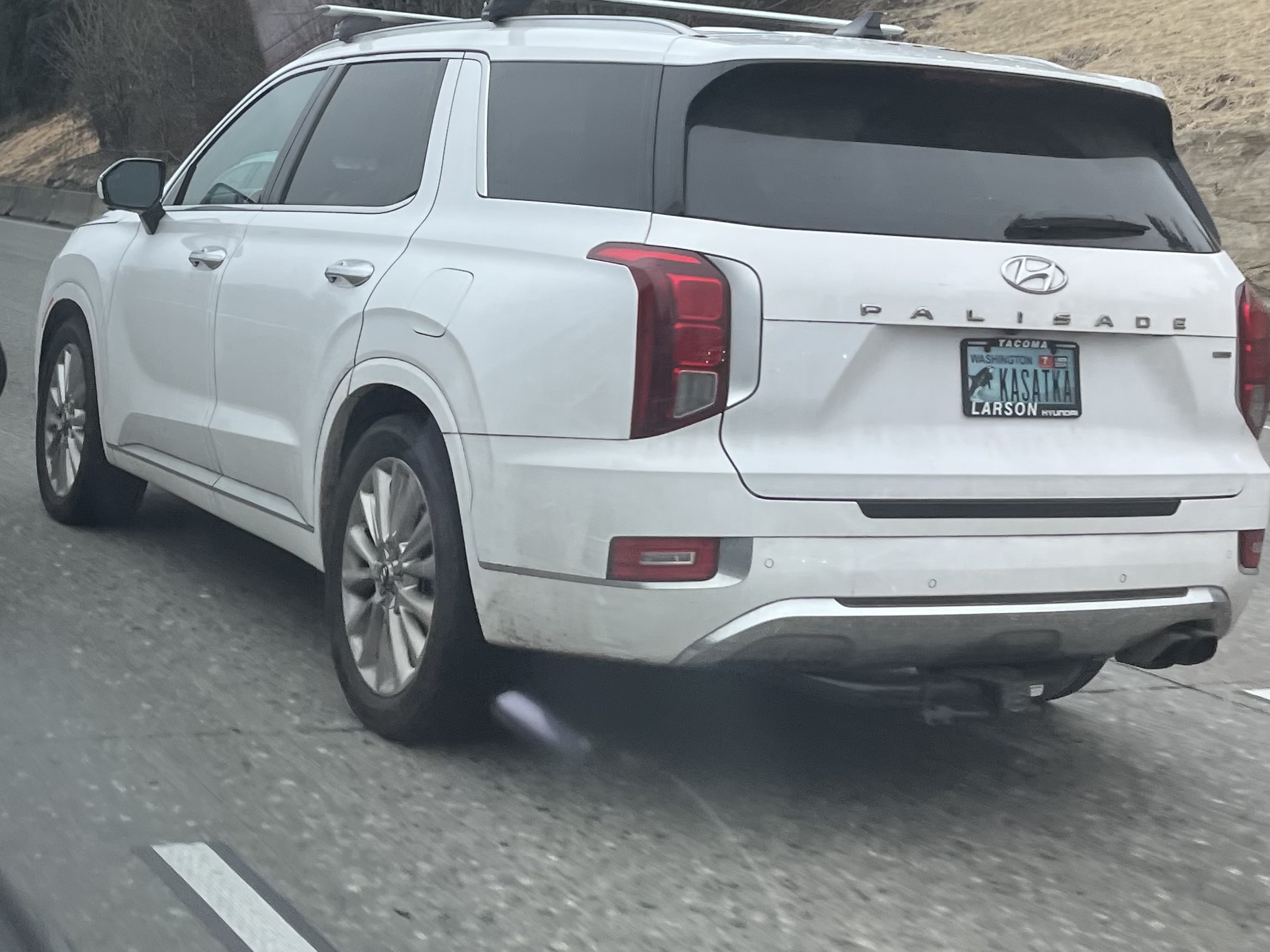 KASATKA, Hyundai Palisade 1st gen (LX2), 2019–2022