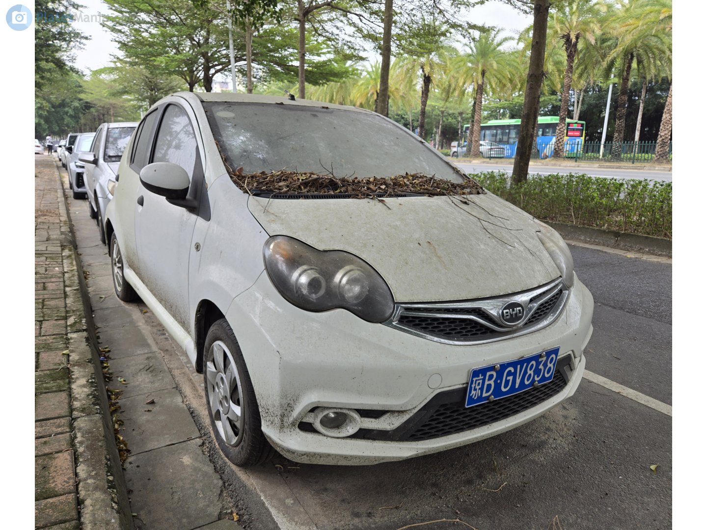 琼B·GV838, BYD F0 1st gen, 2008–2015