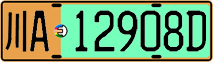License plate of China, Electric vehicles