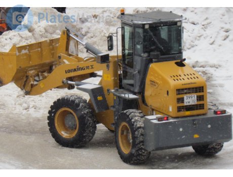 3991 ум 02, LonKing LG