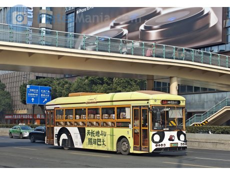 川A·12908D, Yinlong GTQ6**3