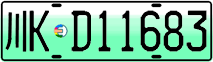 License plate of China, Electric vehicles