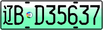 License plate of China, Electric vehicles
