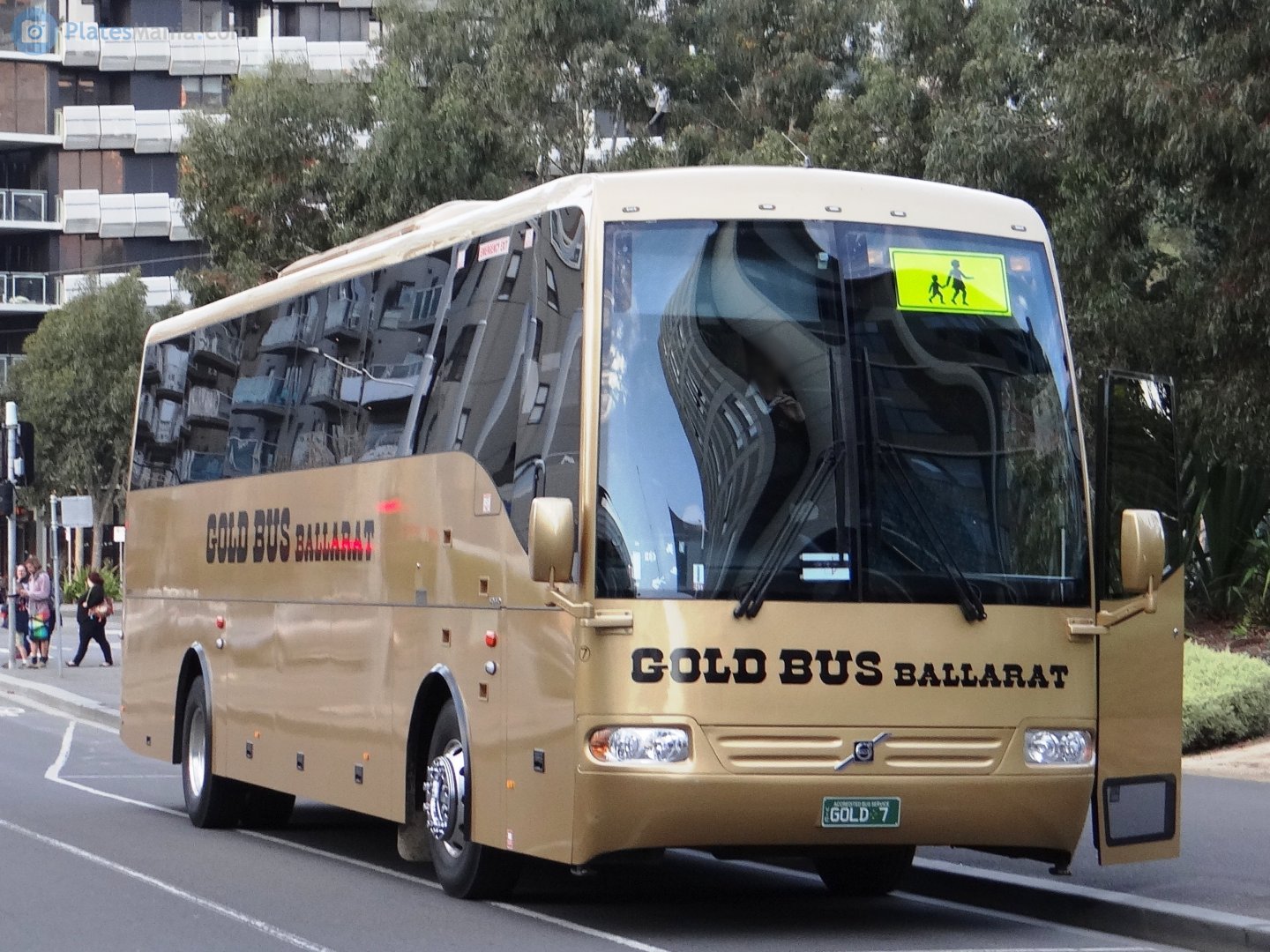 GOLD 7, Coach Design B7R 