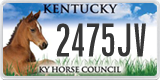 Kentucky, Specialty plates (1234AB)