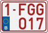 1-FGG-017