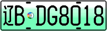 License plate of China, Electric vehicles