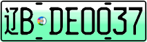 License plate of China, Electric vehicles