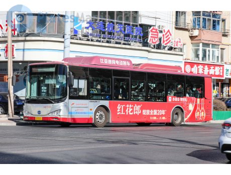 辽B·M3001, BYD ebus