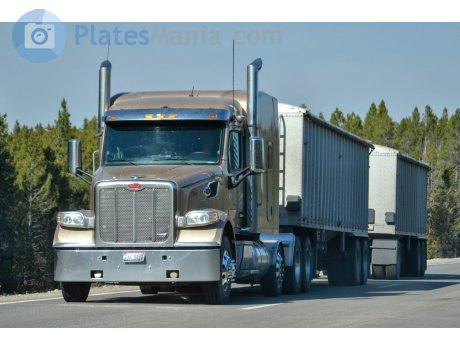 AL 5090, Peterbilt 567