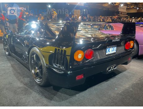 CHE CATZ, Ferrari F40