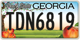Georgia, ABC 1234