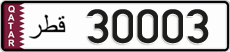 30003