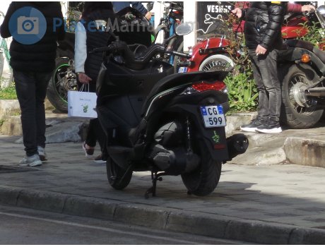 CG 599, Kawasaki J300