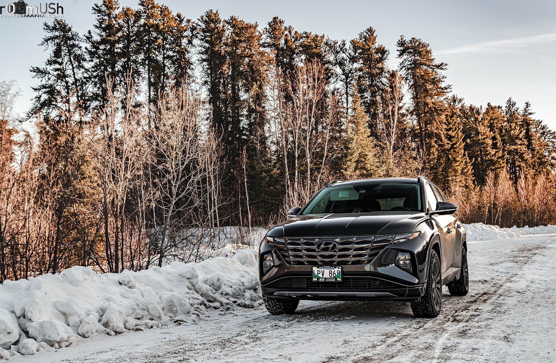 LPV 868, Hyundai Tucson 4th gen (NX4), 2020–2024