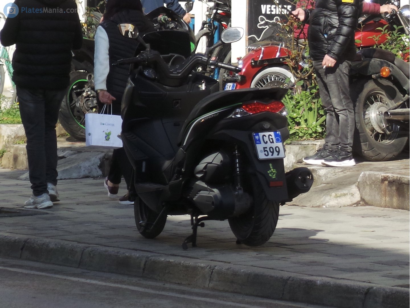 CG 599, Kawasaki J300 