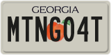 Georgia, Vanity Plates