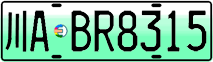 License plate of China, Electric vehicles