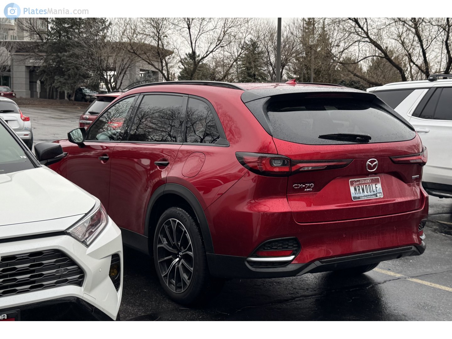 MRW00LF, Mazda CX-70 1st gen (KK), 2024–