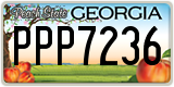 Georgia, ABC 1234
