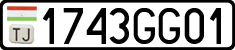 1743GG01