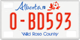 Alberta, Rental cars (X-AB123)